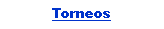 Cuadro de texto: Torneos